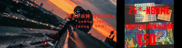 прущая мука Бородино