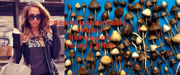 дмт Бугульма