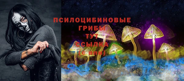прущая мука Бородино