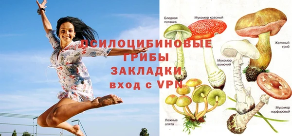 прущая мука Бородино