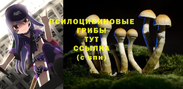 дмт Бугульма